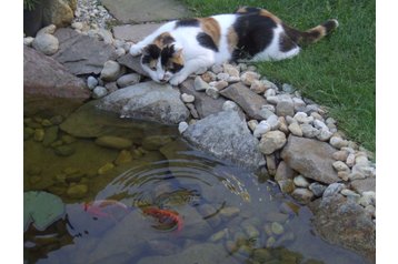 Ungārija Privát Eger, Eksterjers